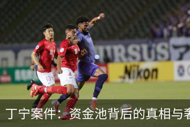丁宁案件：资金池背后的真相与奢侈消费
