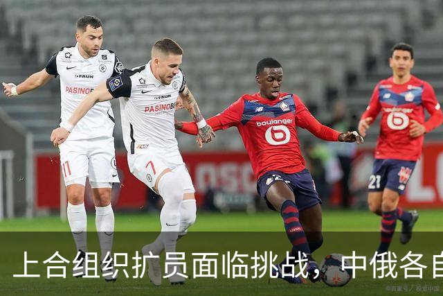 上合组织扩员面临挑战，中俄各自有不同考量