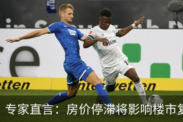 专家直言：房价停滞将影响楼市复苏，保值增值需被重视