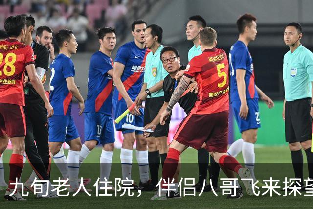 九旬老人住院，伴侣八哥飞来探望，引发感人故事