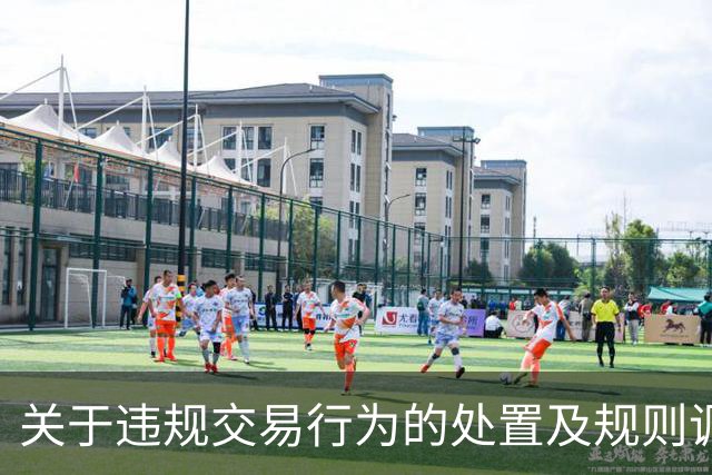 关于违规交易行为的处置及规则调整通知