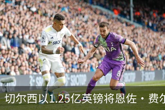 切尔西以1.25亿英镑将恩佐·费尔南德斯卖至曼城