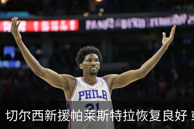 切尔西新援帕莱斯特拉恢复良好 或将在近期首秀
