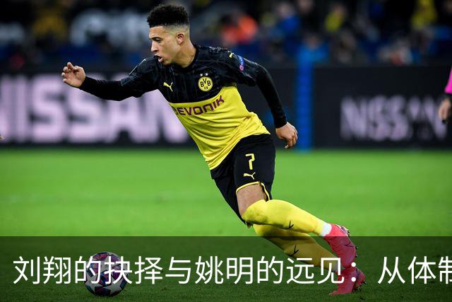 刘翔的抉择与姚明的远见：从体制中解脱的智慧