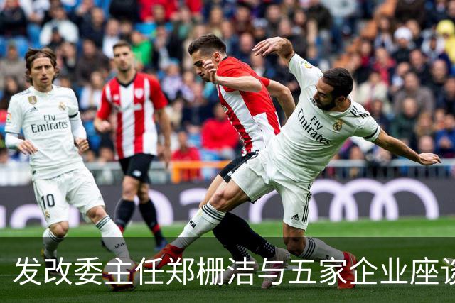 发改委主任郑栅洁与五家企业座谈，聚焦稳投资与民企发展