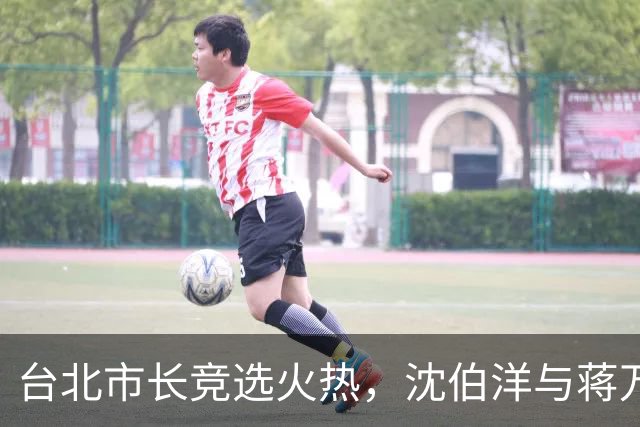 台北市长竞选火热，沈伯洋与蒋万安竞争激烈