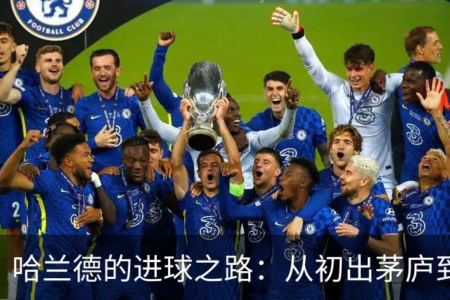 哈兰德的进球之路：从初出茅庐到无可匹敌