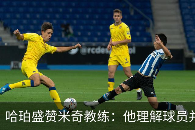 哈珀盛赞米奇教练：他理解球员并提供成长空间