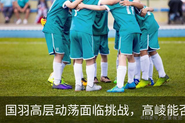 国羽高层动荡面临挑战，高崚能否力挽狂澜？