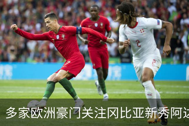 多家欧洲豪门关注冈比亚新秀阿达马·詹