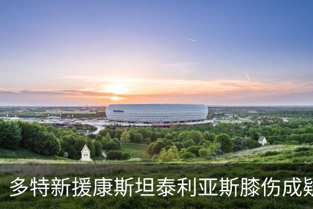 多特新援康斯坦泰利亚斯膝伤成疑，将于明日进一步检查