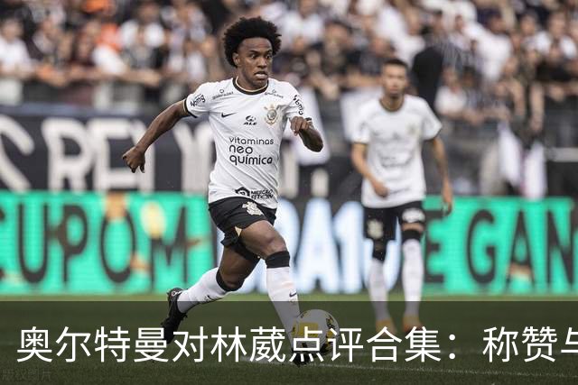 奥尔特曼对林葳点评合集：称赞与批评并存