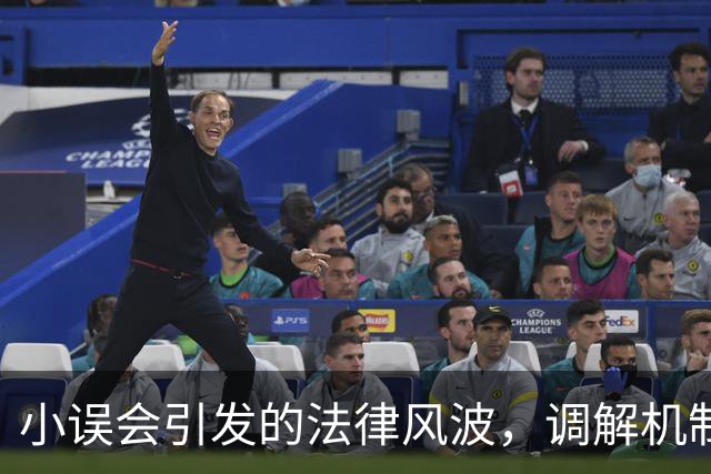 小误会引发的法律风波，调解机制亟待反思