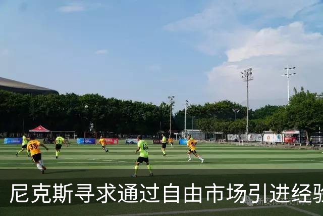 尼克斯寻求通过自由市场引进经验丰富的中锋