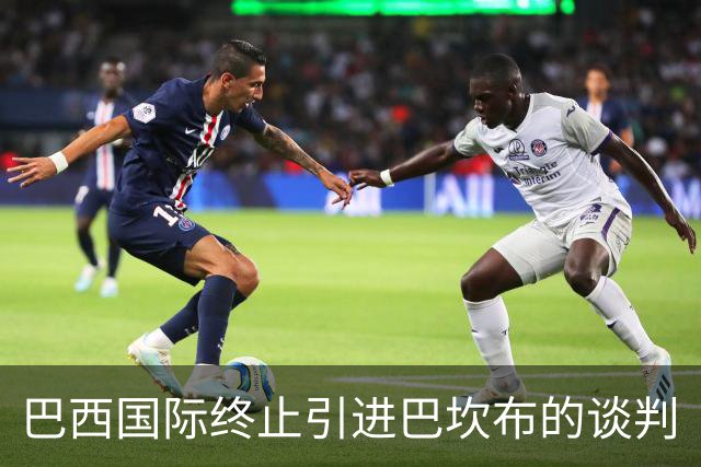 巴西国际终止引进巴坎布的谈判