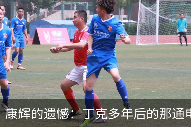 康辉的遗憾：丁克多年后的那通电话