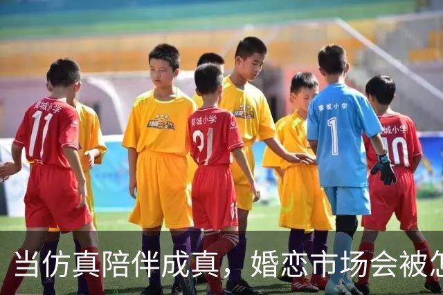 当仿真陪伴成真，婚恋市场会被怎样重估
