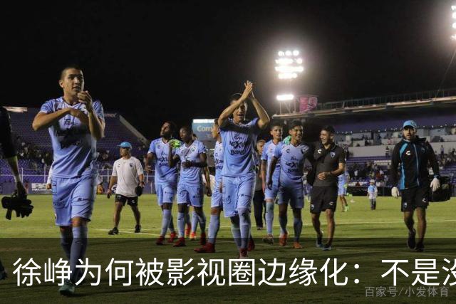 徐峥为何被影视圈边缘化：不是没观众而是被封杀