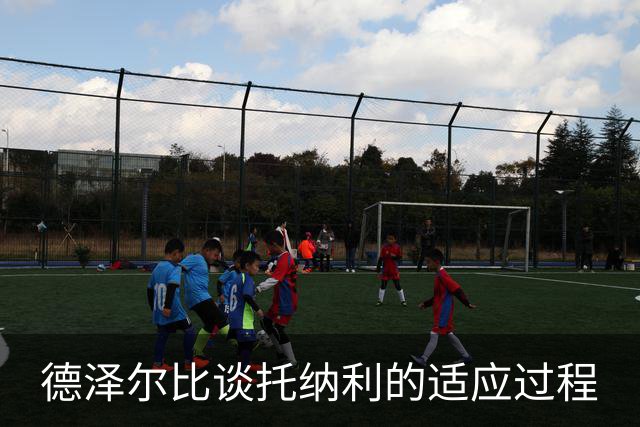 德泽尔比谈托纳利的适应过程