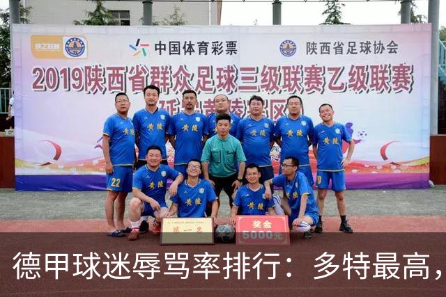 德甲球迷辱骂率排行：多特最高，拜仁居次