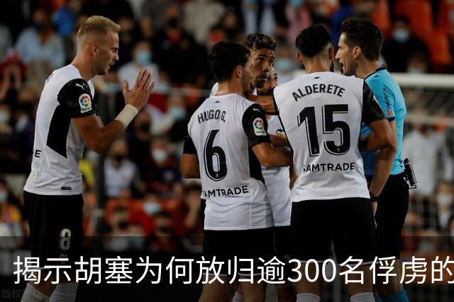 揭示胡塞为何放归逾300名俘虏的真相
