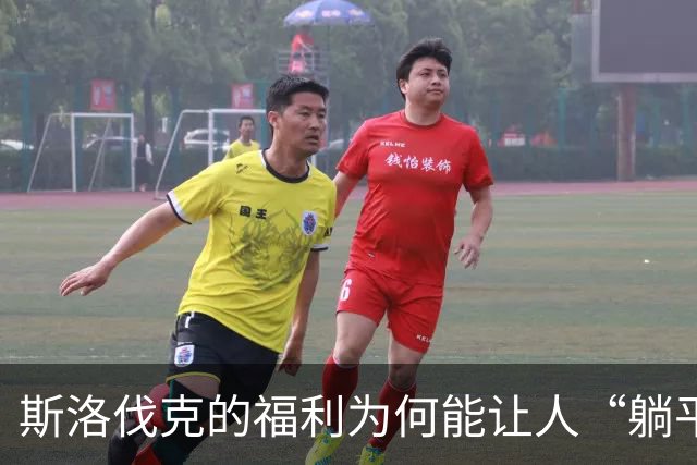 斯洛伐克的福利为何能让人“躺平
