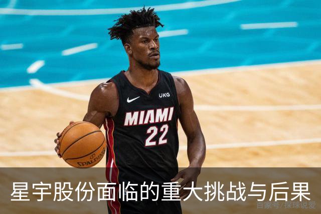 星宇股份面临的重大挑战与后果