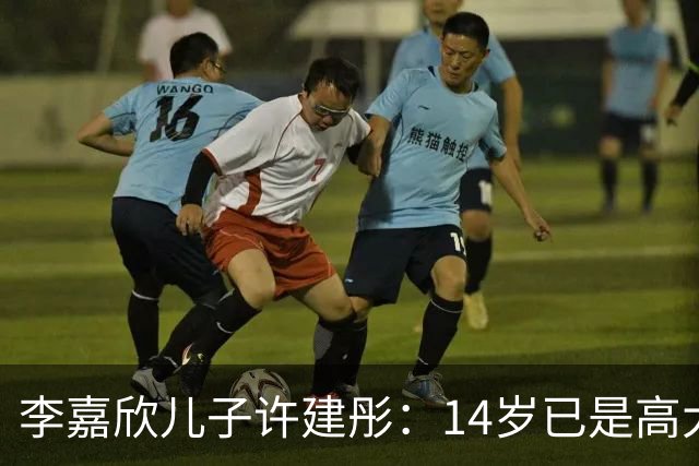 李嘉欣儿子许建彤：14岁已是高大帅气的贵公子