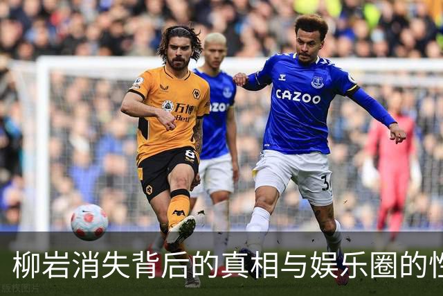 柳岩消失背后的真相与娱乐圈的性别困境