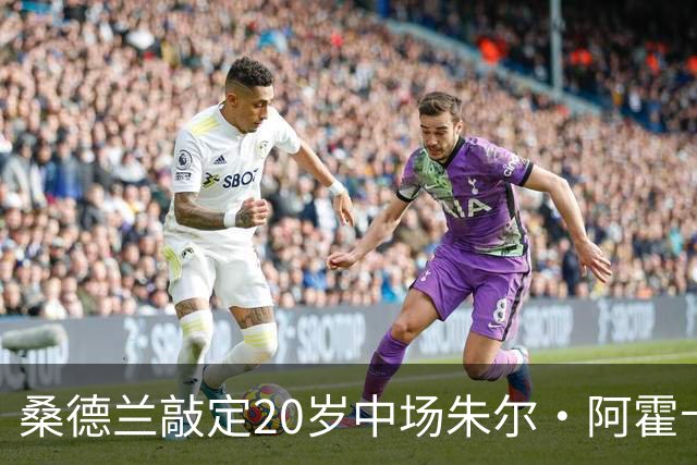 桑德兰敲定20岁中场朱尔·阿霍卡