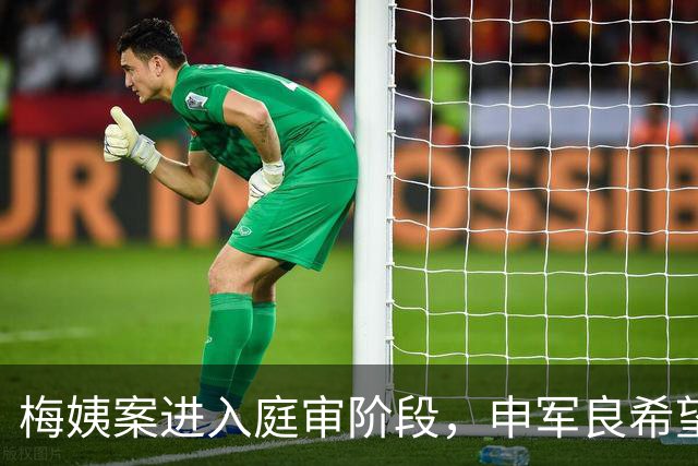 梅姨案进入庭审阶段，申军良希望问梅姨能否安眠