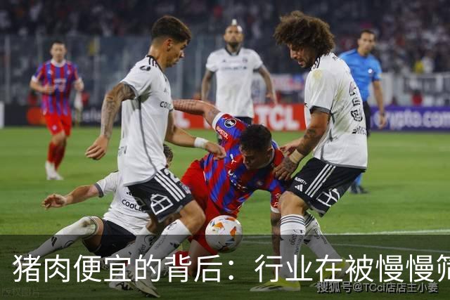 猪肉便宜的背后：行业在被慢慢筛选