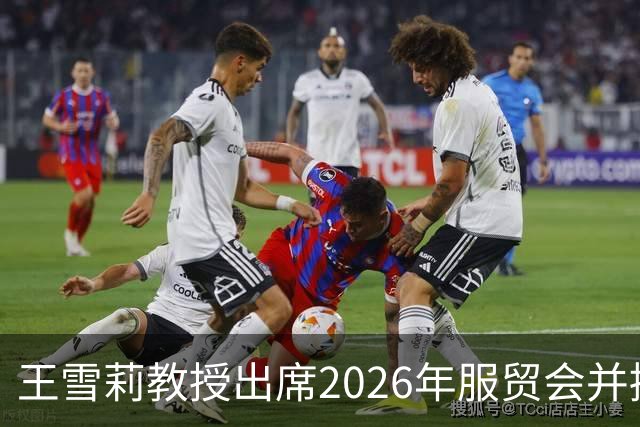 王雪莉教授出席2026年服贸会并接受央视专访