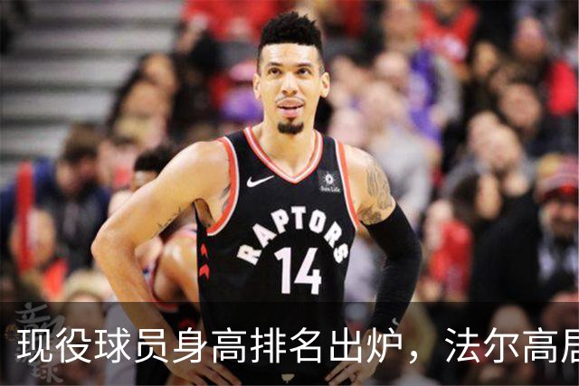 现役球员身高排名出炉，法尔高居榜首