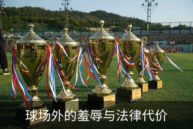 球场外的羞辱与法律代价