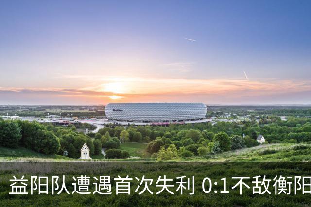 益阳队遭遇首次失利 0:1不敌衡阳