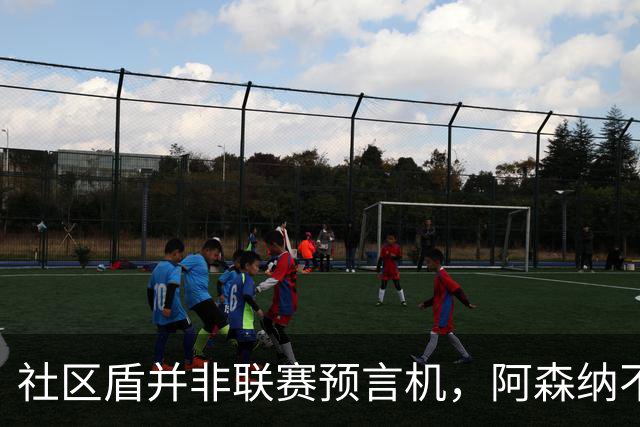 社区盾并非联赛预言机，阿森纳不应被胜利冲昏头脑