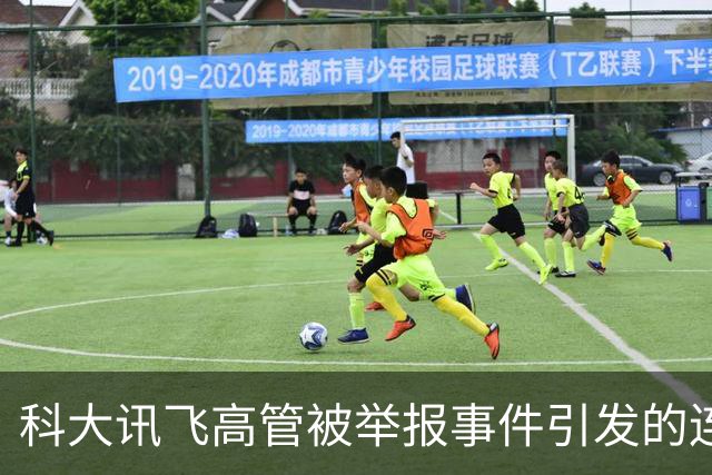 科大讯飞高管被举报事件引发的连锁反应
