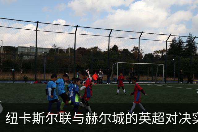 纽卡斯尔联与赫尔城的英超对决实时播报
