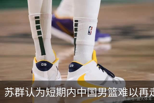 苏群认为短期内中国男篮难以再走归化路线