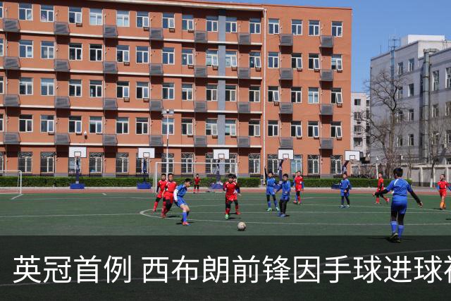 英冠首例 西布朗前锋因手球进球被停赛两场
