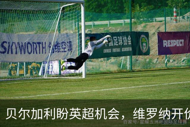 贝尔加利盼英超机会，维罗纳开价约1000万欧