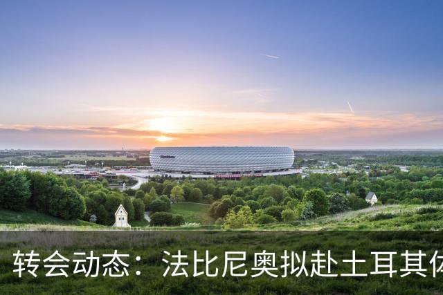 转会动态：法比尼奥拟赴土耳其体检，阿尔瓦雷斯仍只想去巴萨