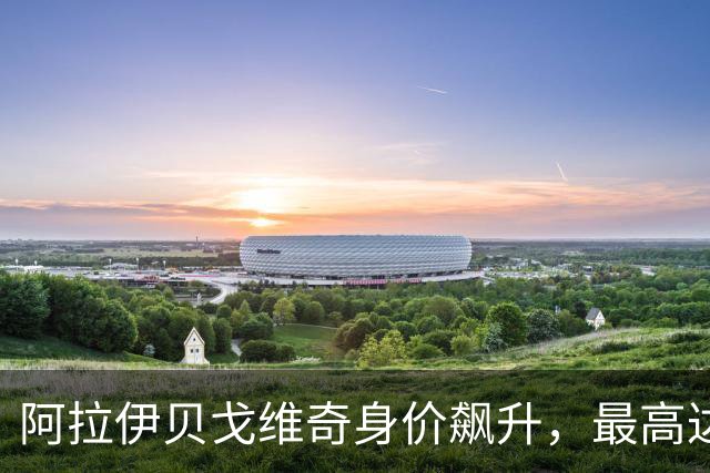 阿拉伊贝戈维奇身价飙升，最高达4000万欧元