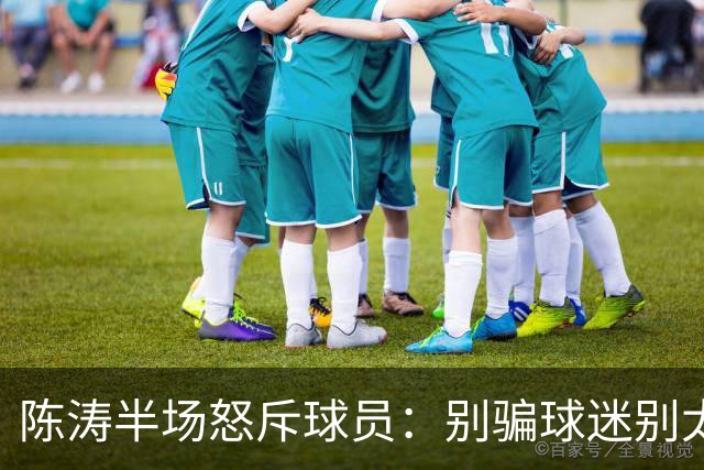 陈涛半场怒斥球员：别骗球迷别太顾惜羽毛