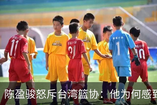 陈盈骏怒斥台湾篮协：他为何感到不满？