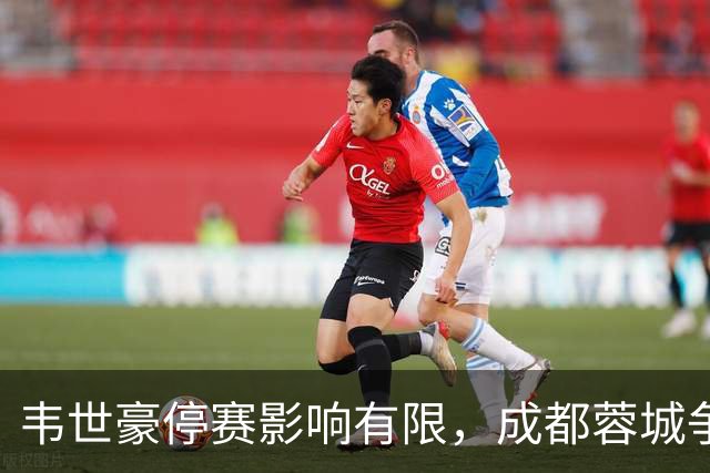 韦世豪停赛影响有限，成都蓉城争冠信心不减