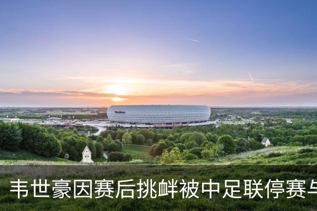 韦世豪因赛后挑衅被中足联停赛与罚款