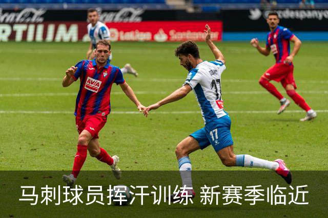 马刺球员挥汗训练 新赛季临近
