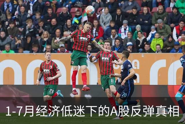 1-7月经济低迷下的A股反弹真相